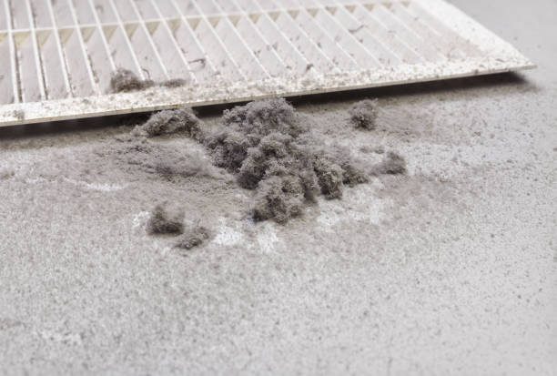 Best Duct Cleaning for Offices  in Milford, IN
